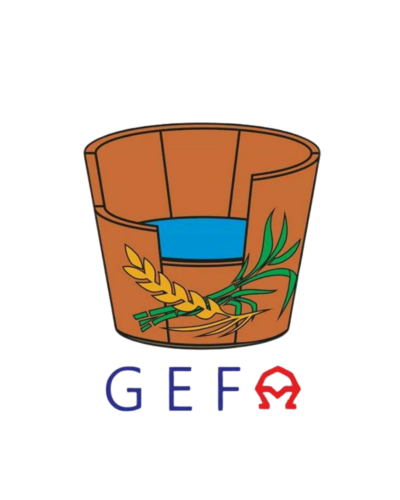 LOGO GEFA PNG (1)